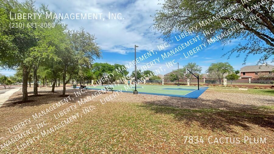 Single story 3 Bed, 2 Bath Home near Alamo Ranch property image