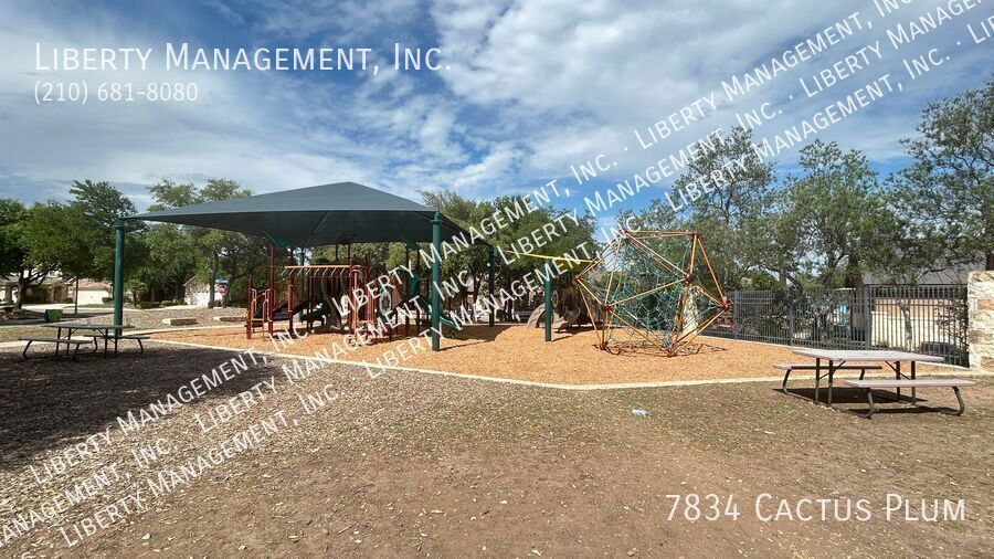 Single story 3 Bed, 2 Bath Home near Alamo Ranch property image