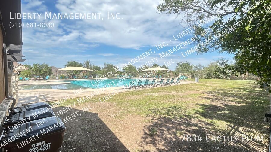 Single story 3 Bed, 2 Bath Home near Alamo Ranch property image