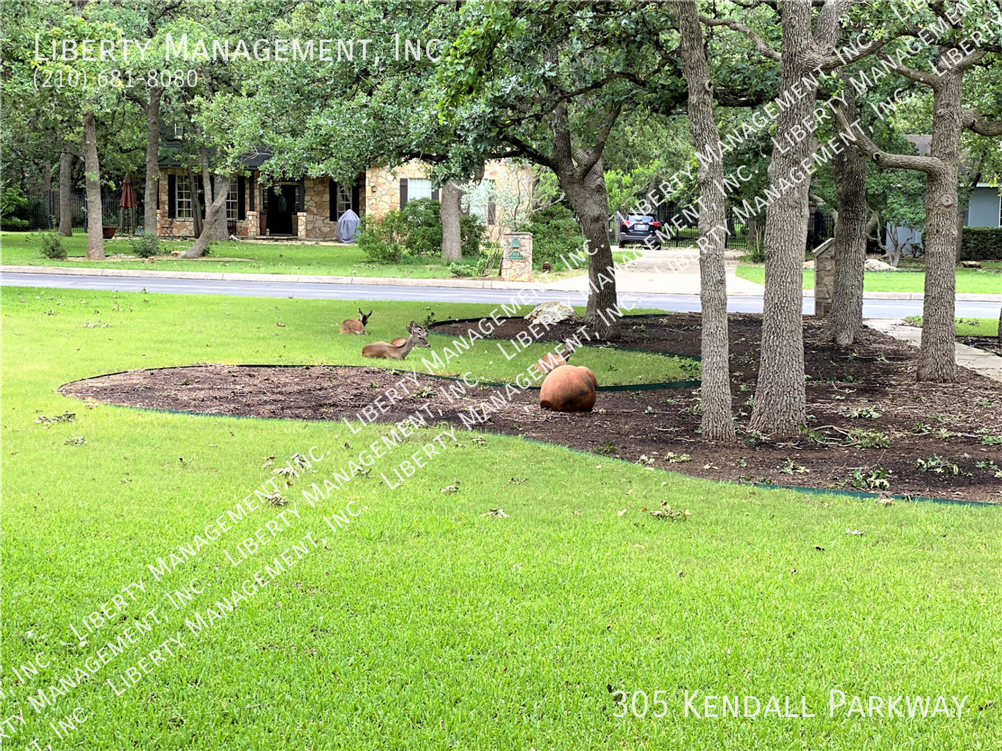 4 Bed, 2.5 Bath Home in Boerne property image